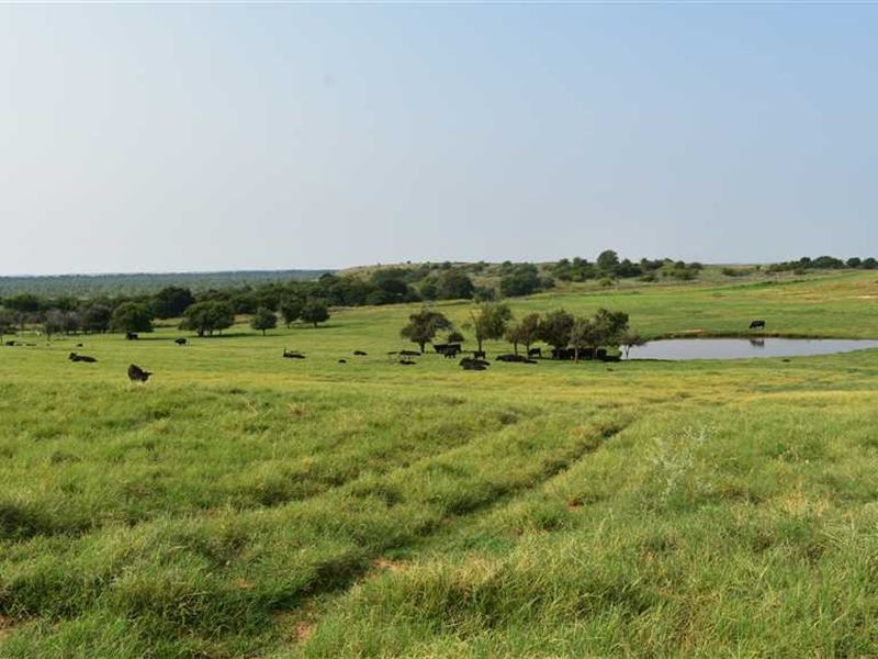 160 Farm and Ranch Footsteps Off : Randlett : Cotton County : Oklahoma