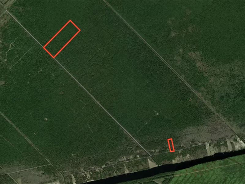 65.11 Acres of Re : Belhaven : Hyde County : North Carolina