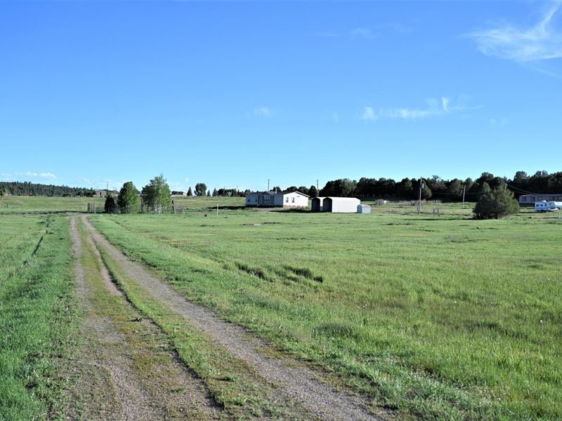 Rutheron 6.75 : Rutheron : Rio Arriba County : New Mexico