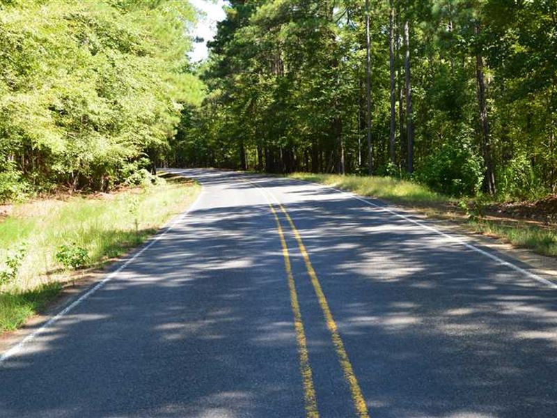 15.5 Acres Timber and Hunting Land : Kilmichael : Montgomery County : Mississippi