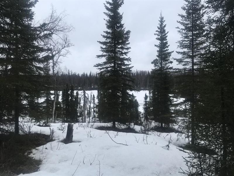 Wilderness Lot Ready to Build : Ninilchik : Kenai Peninsula Borough : Alaska