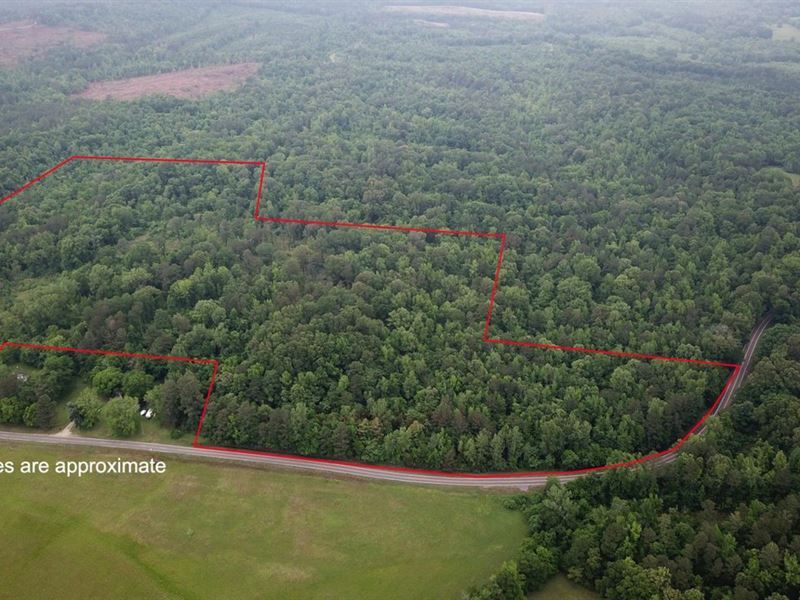 45.68 Acres with Pond in Clark : Okolona : Clark County : Arkansas