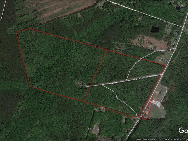 94 Acres in Great Location : Woodbine : Camden County : Georgia