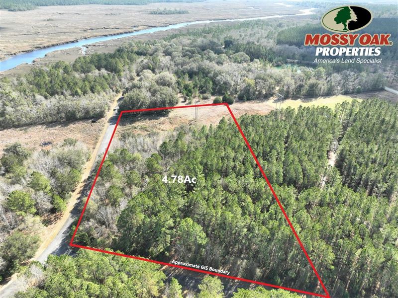 4.78 Ac Land for Sale Ashleys Rd Wh : White Oak : Camden County : Georgia