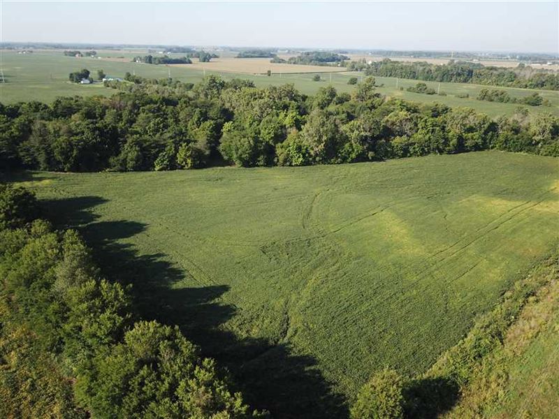 Lot 1, 12+ Acres Brookside Rd : Lapel : Madison County : Indiana
