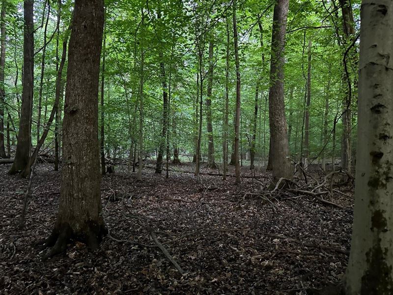 2.16 Acres Near Sewanee Universit : Sewanee : Marion County : Tennessee