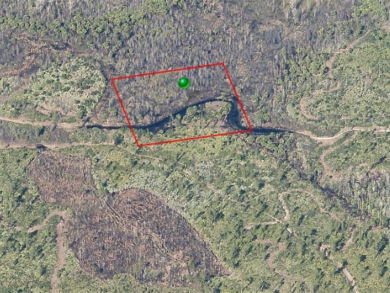 Wooded Lot For Sale 15,000 Land for Sale in Volusia, Volusia County