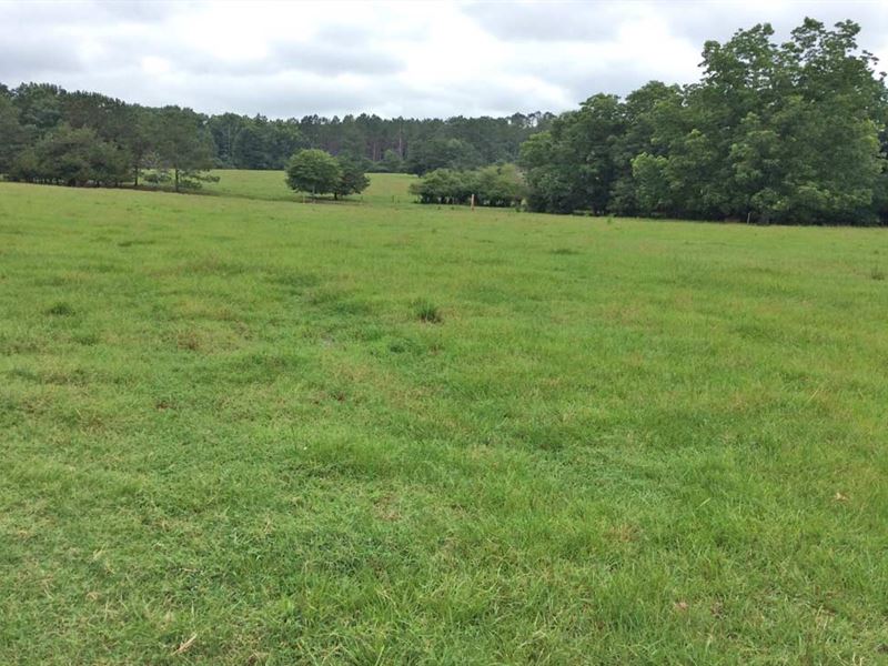 Hickory Grove Road Tract : Honoraville : Crenshaw County : Alabama