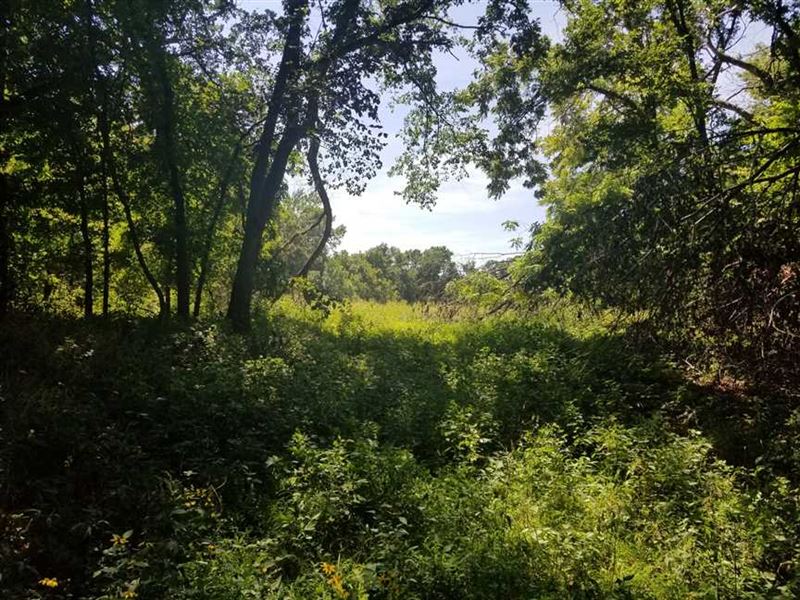 30 Acres of Timber Along Little LA : Parsons : Labette County : Kansas