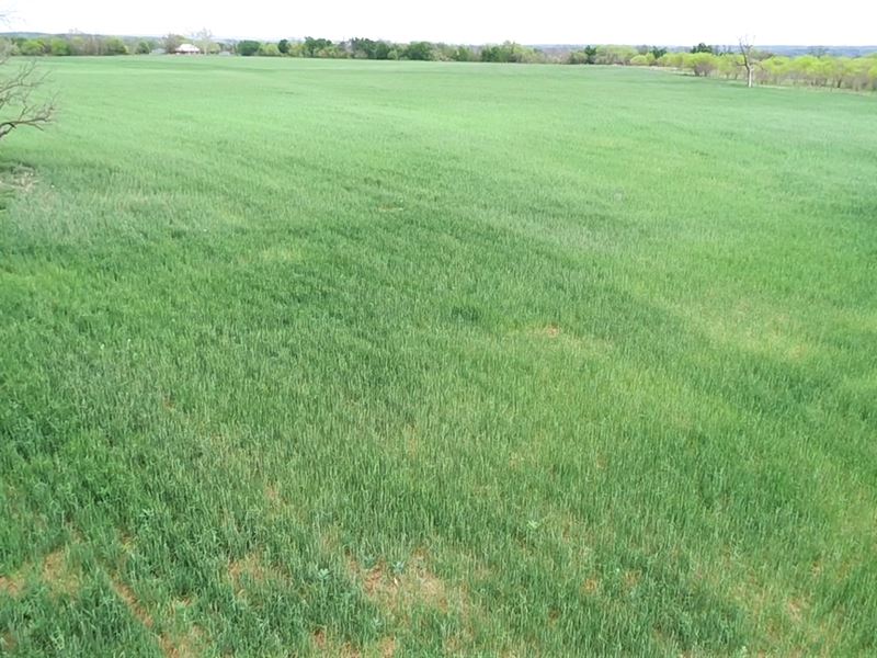Land for Sale in Bend, TX : Lometa : Lampasas County : Texas
