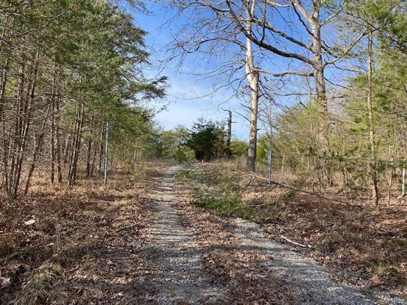 1.91 Acres Unrestricted Property : Whitwell : Marion County : Tennessee