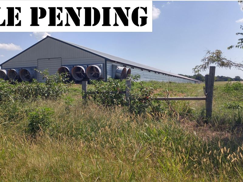 Tyson Contract Six Hse Broiler Farm : Prairie Grove : Washington County : Arkansas