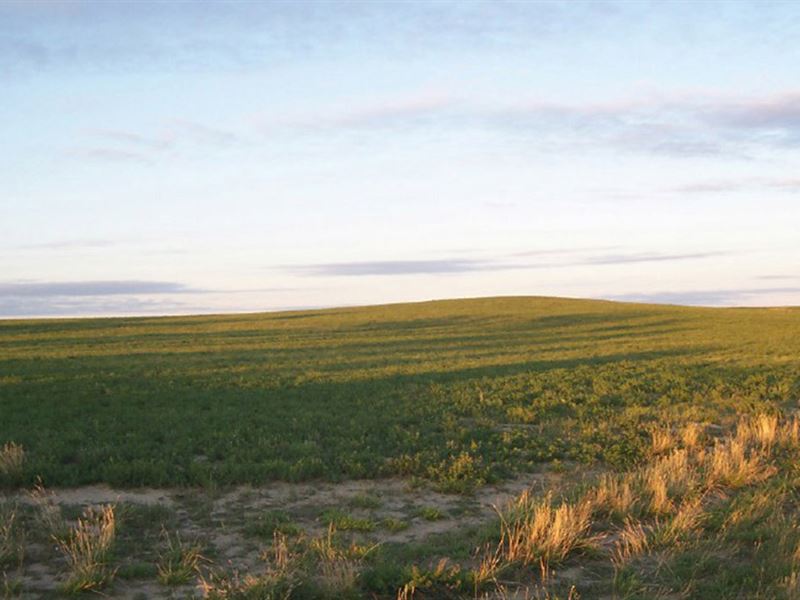 Shaw Place-Pheasant Ridge Farm : Yoder : Goshen County : Wyoming
