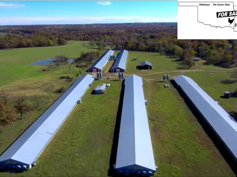 Looking for A Real Bargin : Gentry : Benton County : Arkansas