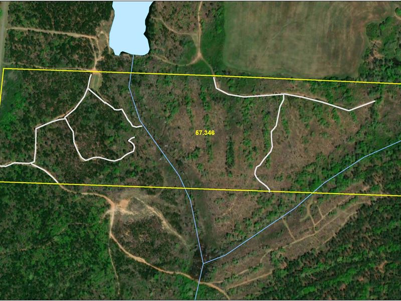 57 Acre Hunting / Homesite Property : Forsyth : Monroe County : Georgia