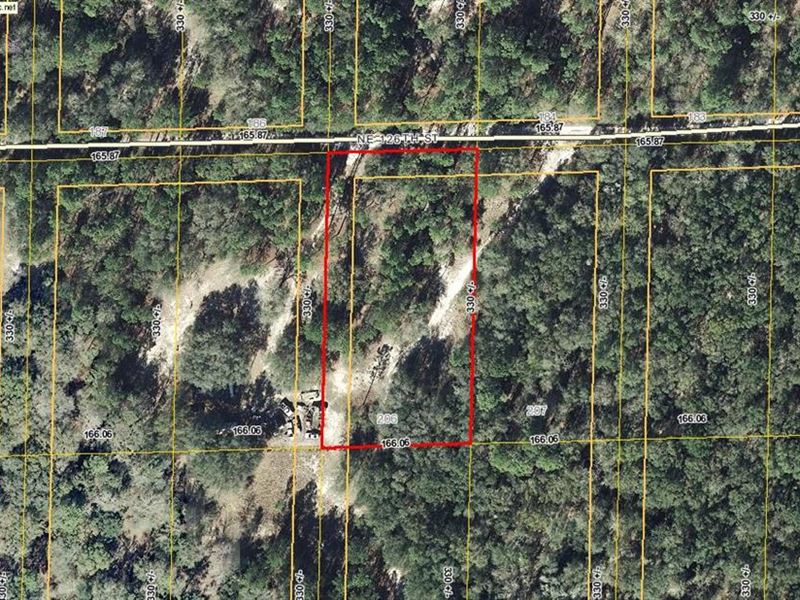 Nice Wooded 1.25 Ac Lot 776289 : Bronson : Levy County : Florida