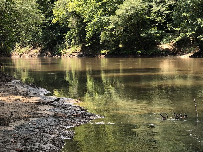 168 +/- Acres On Conecuh River : Andalusia : Covington County : Alabama