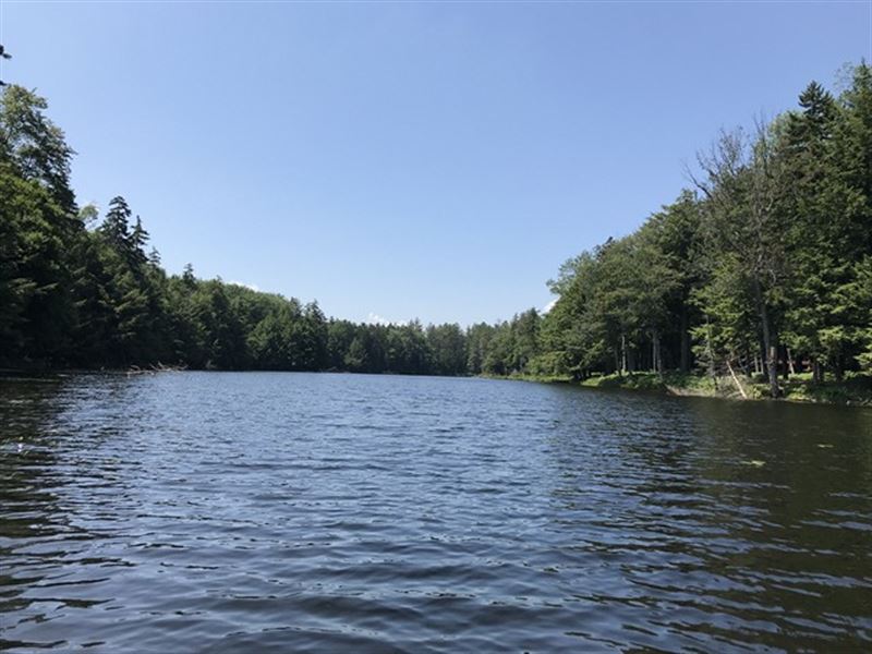 Affordable Adirondack Lakefront, Land for Sale in New York, 159523