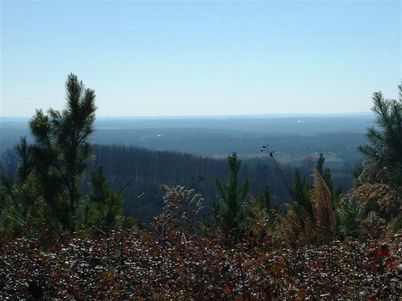Mountain View Lots : Rutherfordton : Rutherford County : North Carolina