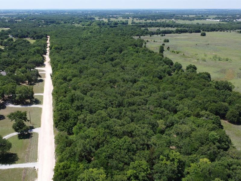 20 Acre Investment Opportunity : Bridgeport : Wise County : Texas