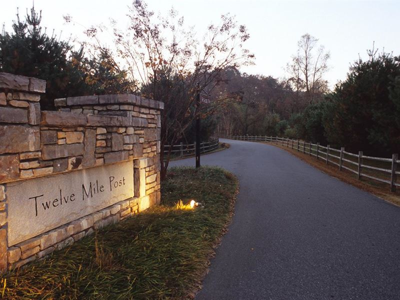 Lake Lure Lot in Gated Community : Lake Lure : Rutherford County : North Carolina