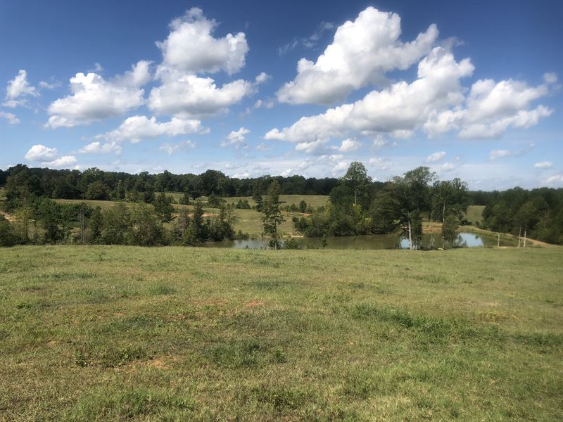 Beaverdam Creek Farm Land for Sale in Enoree, Laurens County, South
