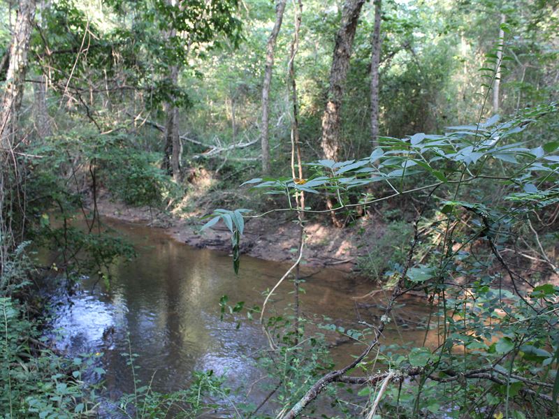 Turkey Creek Runs Through It Land for Sale in Carrollton, Carroll