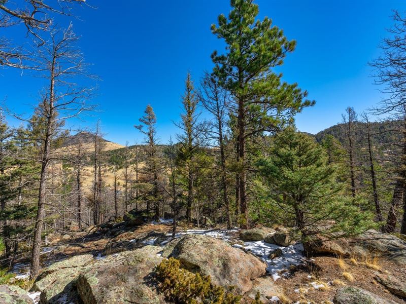 308 Reed Cr : Cripple Creek : Teller County : Colorado