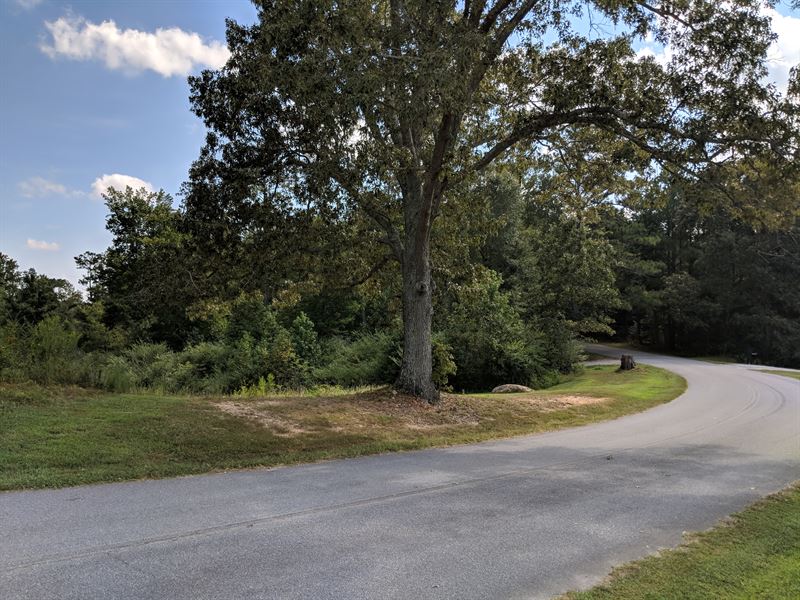 Mini-Farm Potential in Dallas Ga : Dallas : Paulding County : Georgia