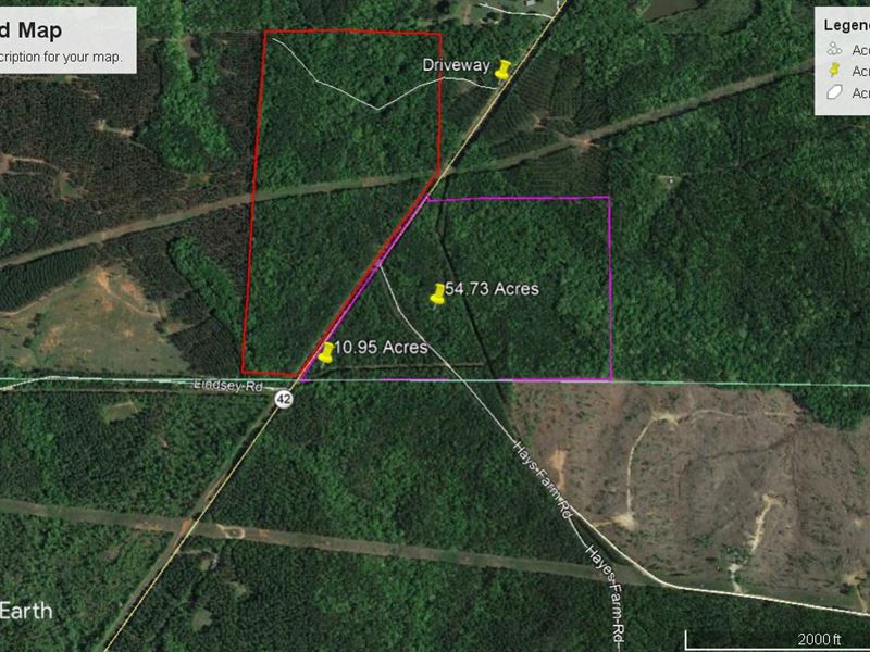 10.95 Acres Monroe County : Culloden : Monroe County : Georgia