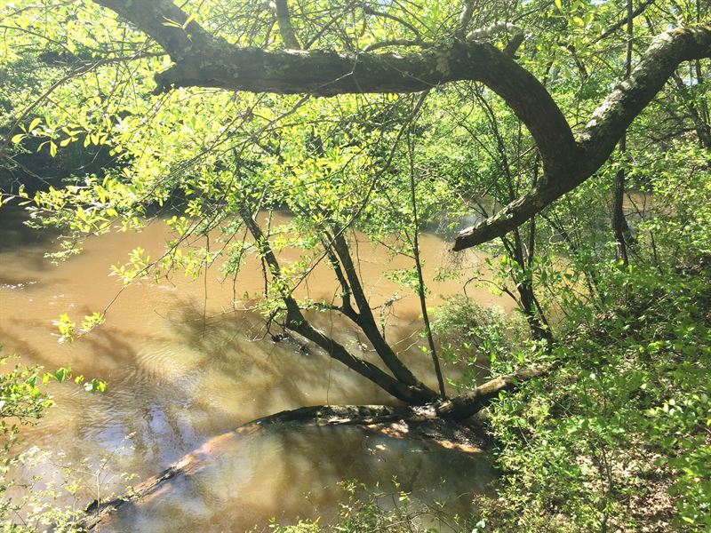 185 Alcovy Reserve Way Lot 15 : Covington : Newton County : Georgia