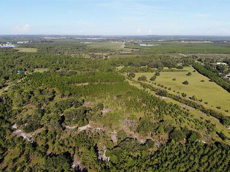 Land For Sale In Lake Wales Fl
