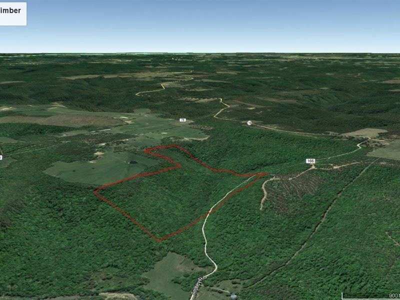 Alread Timber Tract : Alread : Van Buren County : Arkansas