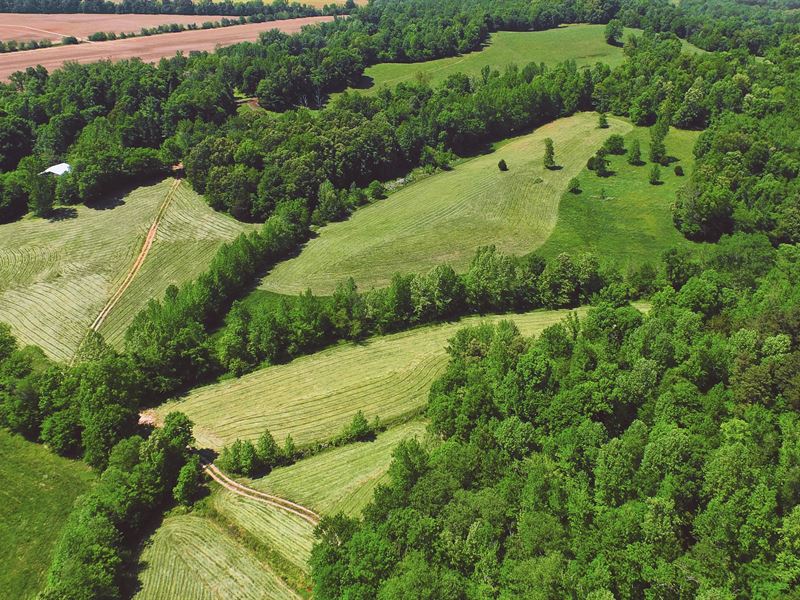 Beautiful Tennessee Farm Land for Sale in Decaturville, Decatur