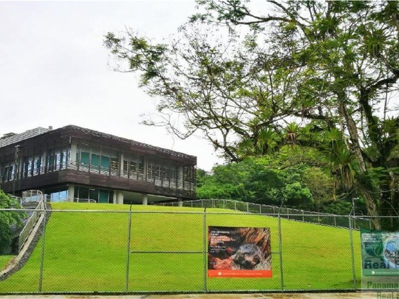 Gamboa House for Sale, Panama : Gamboa : Panama
