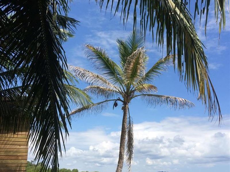 Coastal Property Captivating View : Panama