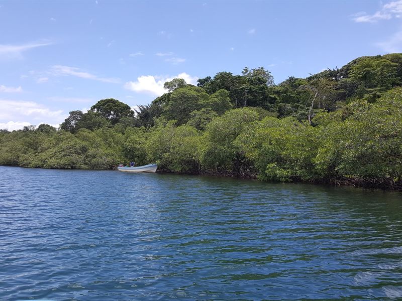 Beautiful Remote Land, Bocas Del : Panama