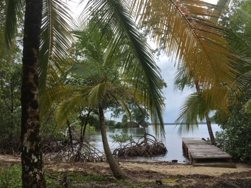 Great Views, Coastal Land Isla Popa : Punta Laurel : Panama
