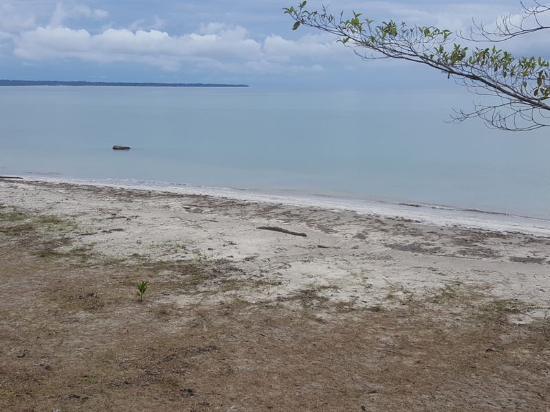 Affordable Bocas Del Toro Sand : Crawl Cay : Panama