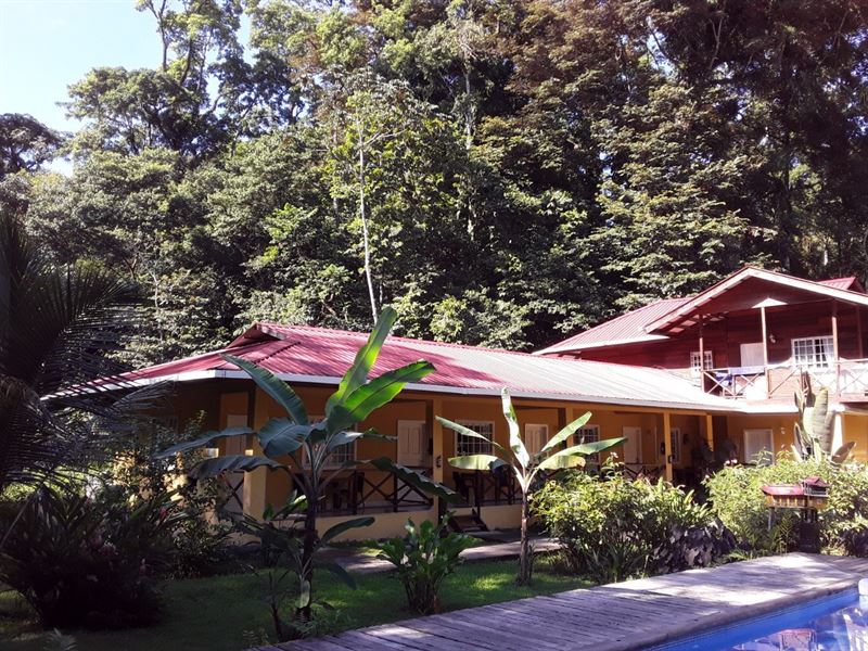 Titled Bocas Del Toro Bed : Panama