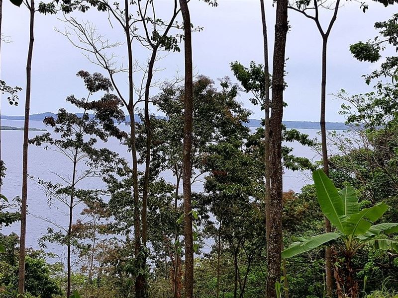 Commanding Ocean Views Titled 4 : Panama