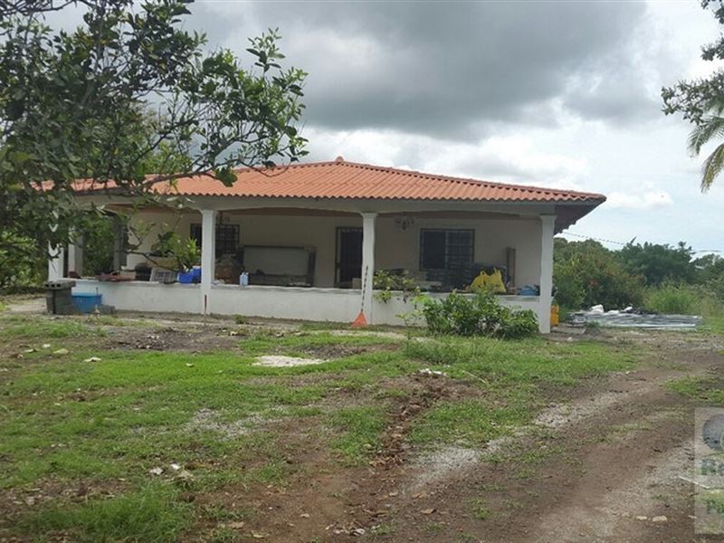 LA Ermita DE San Carlos, Homes : Panama