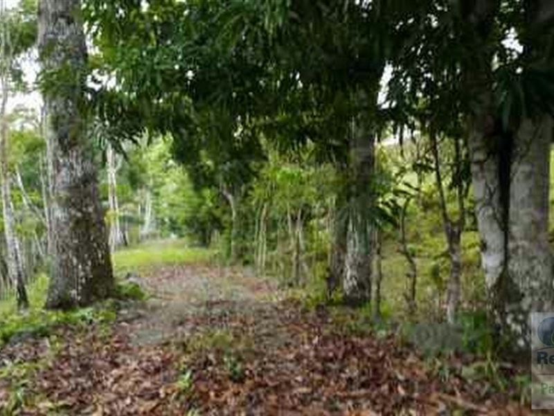 17 Hectares Lot Lagarterita Lago : Panama