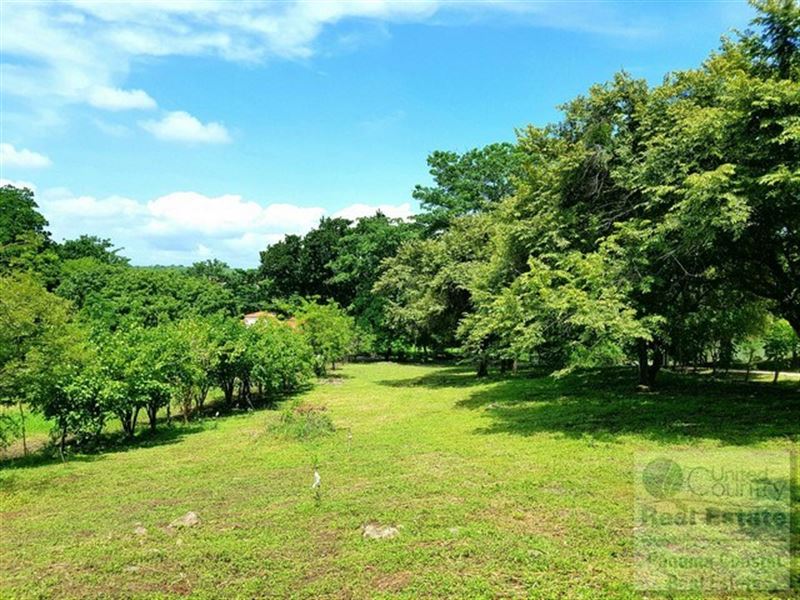 Country Lot Cabuya Chame Panama : Panama