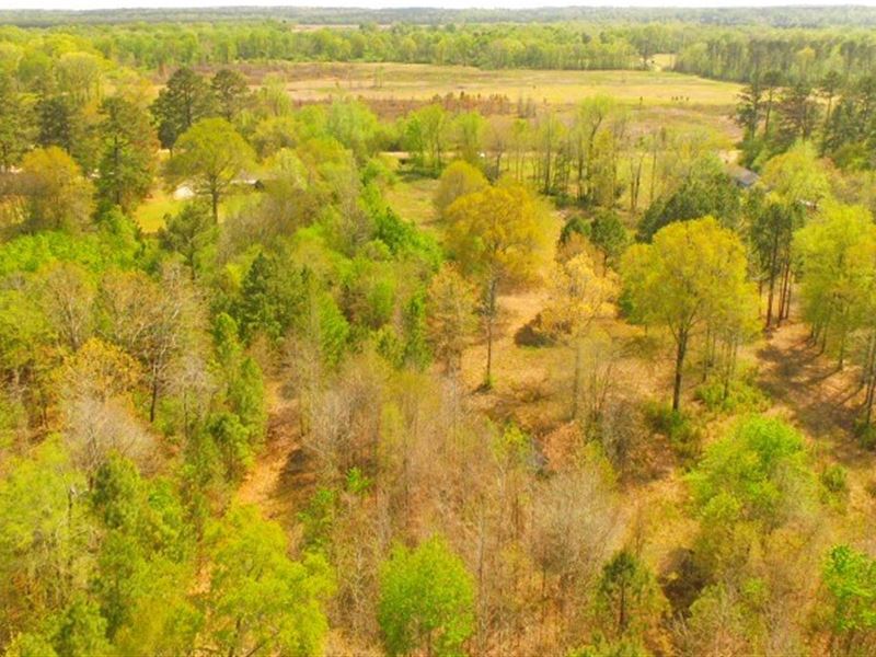 Land Caddo River, Arkadelphia : Arkadelphia : Clark County : Arkansas