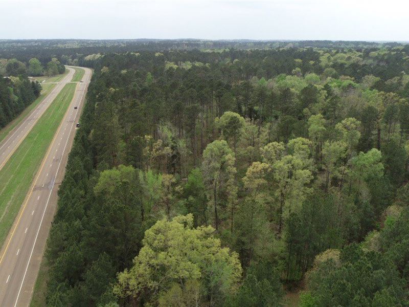 Home Site Lot Timber Land Acres : Camden : Ouachita County : Arkansas