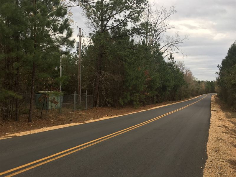 Recreational Timberland Junction : Junction City : Union County : Arkansas