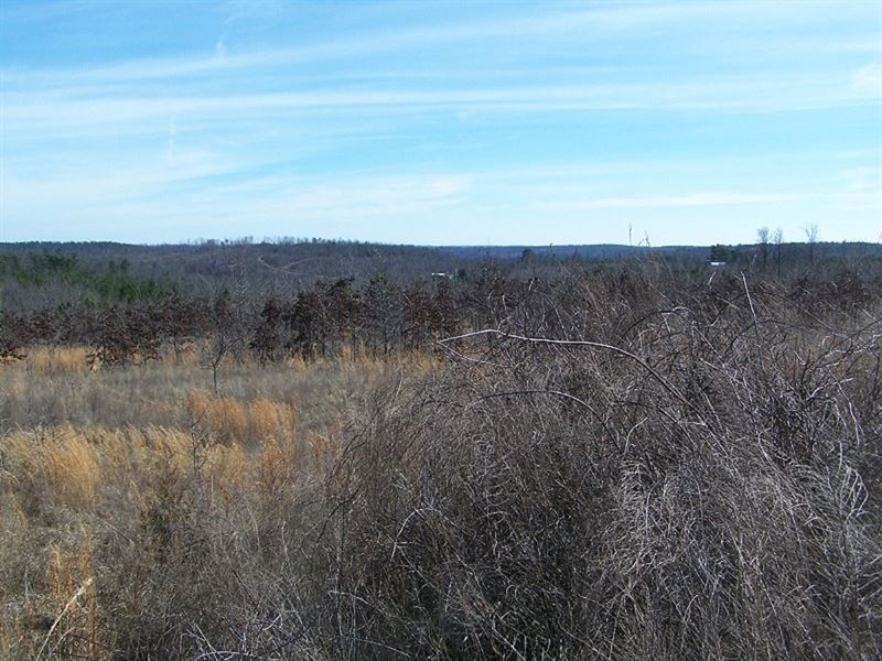 Central Arkansas Ozarks : Leslie : Searcy County : Arkansas