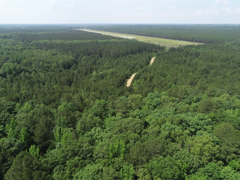 Airport Tract 3,454 Ac Timber Land : Sheridan : Grant County : Arkansas