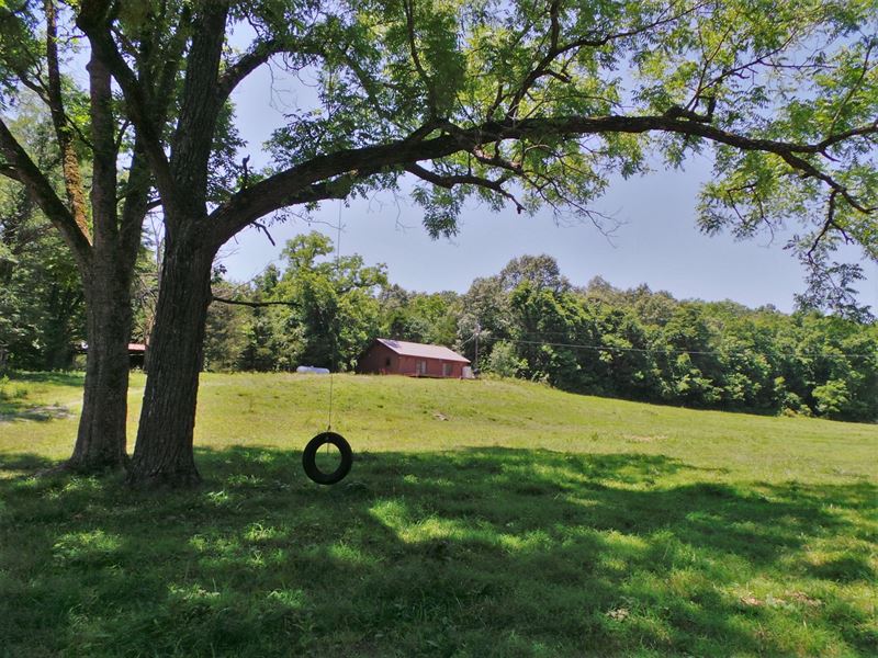 Upper Water Creek Farm For Sale Land for Sale in Yellville, Marion